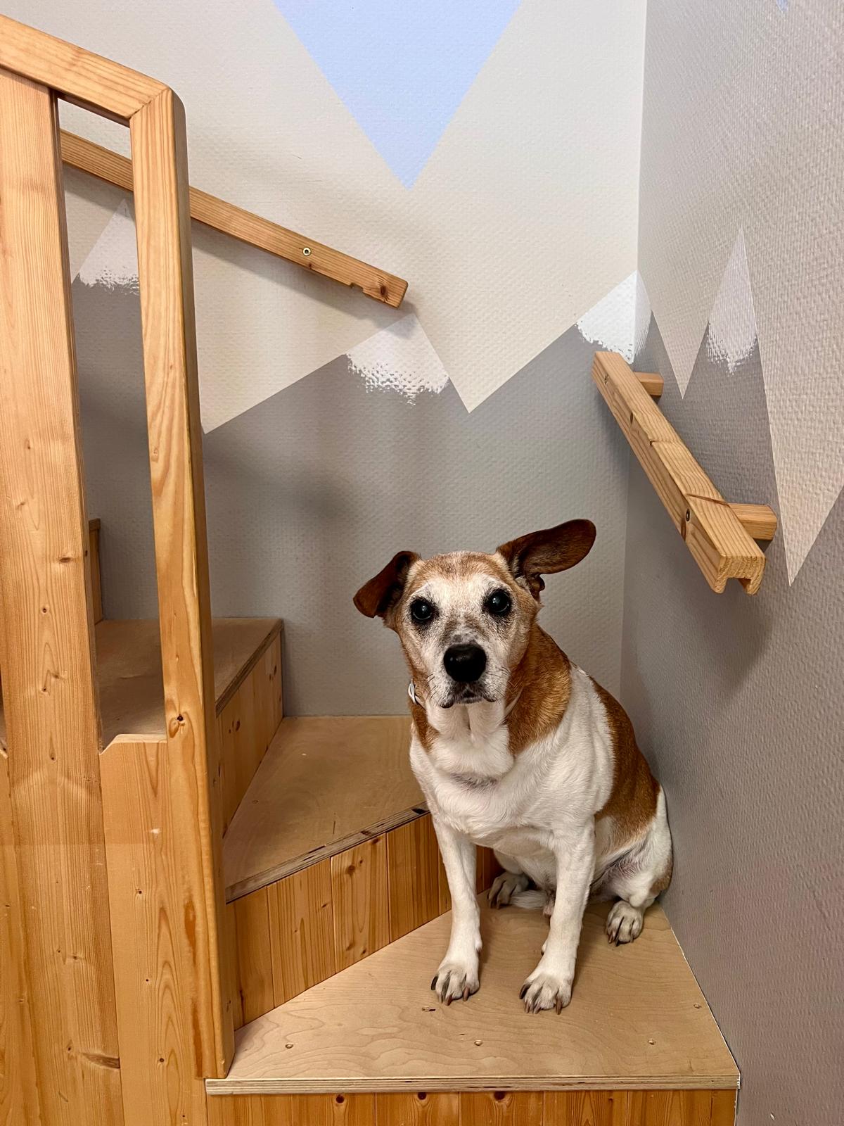 Katrins Strolche Kindertagespflege - Lucky